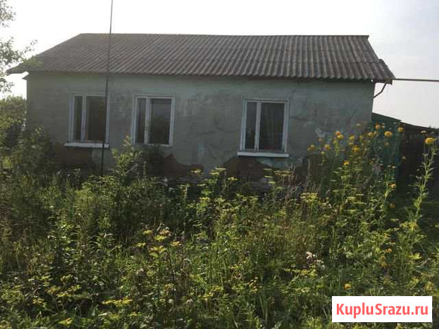 Дом 54 кв.м. на участке 19.5 сот. Ковылкино - изображение 1