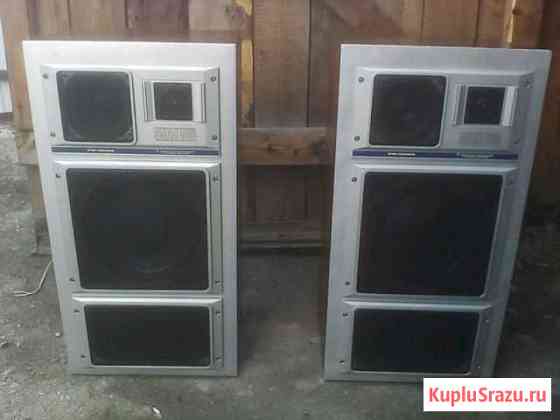 Продам колонки электроника 35ас 015 Кемерово