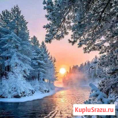 Фотоаппараты Зенит и Зорький Хабаровск - изображение 1