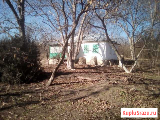 Дом 36.6 кв.м. на участке 40 сот. Бекешевская - изображение 1