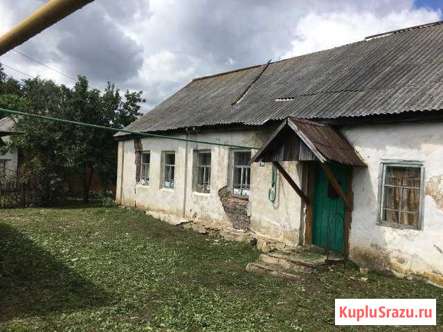  Лев Толстой - изображение 1