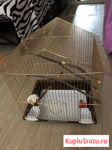 Клетка для попугая Прокопьевск - изображение 1