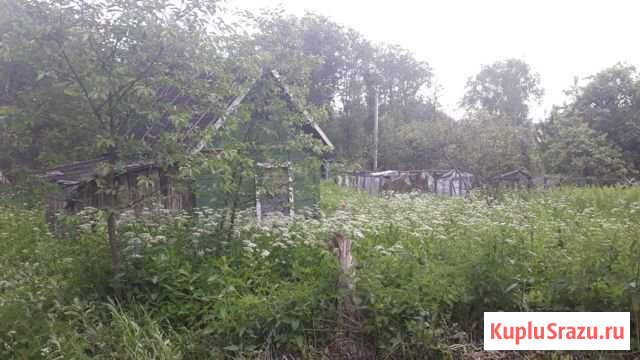 Дача 20 кв.м. на участке 6 сот. Вязьма - изображение 1