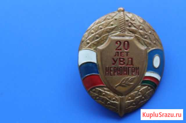 Знак увд Благовещенск - изображение 1