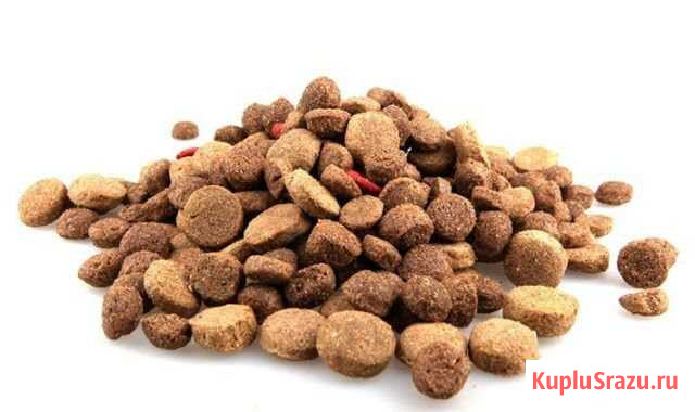 Собачий корм Бугры - изображение 1