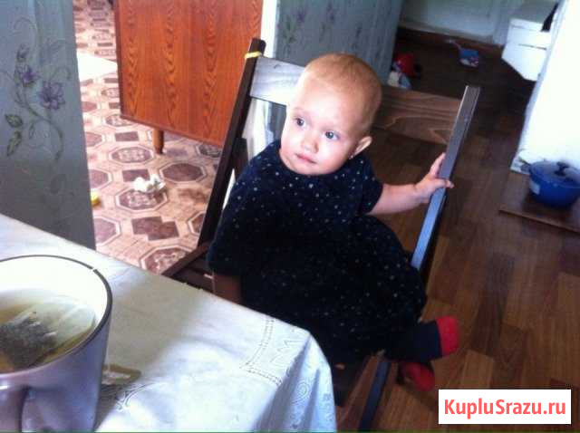 Дом 72 кв.м. на участке 50 сот. Пушкинские Горы - изображение 1