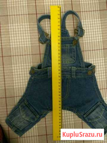 Одежда для собаки Загорянский - изображение 1