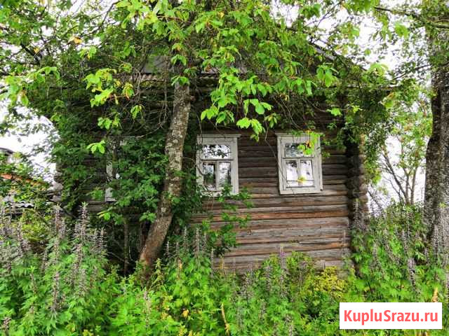 Дом 29 кв.м. на участке 14 сот. Кадников - изображение 1