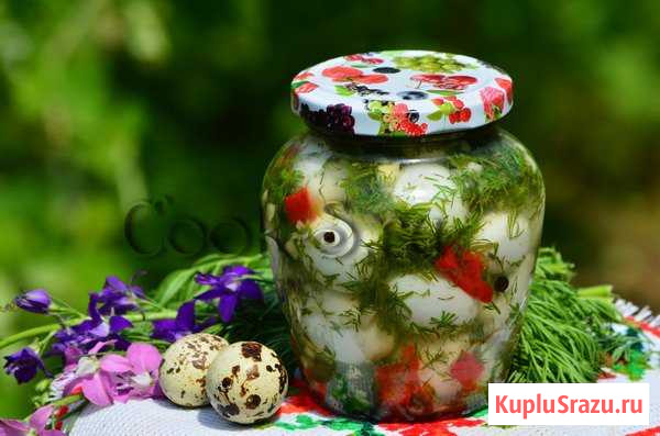 Яйца маринованные перепелиные Архангельск - изображение 1