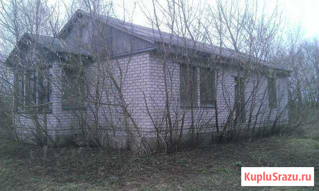 Дом 98 кв.м. на участке 13 сот. Добринка - изображение 1