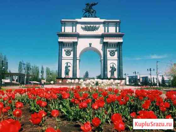 Межгород перевозки Курск