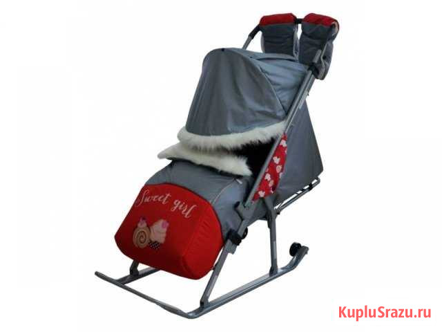Санки-коляска Тяни-Толкай Элит+100 Березники - изображение 1