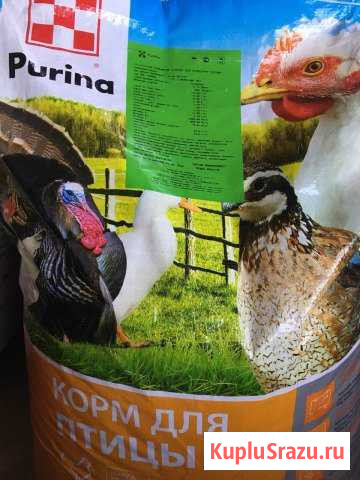 Комбикорм Вязьма - изображение 1