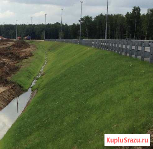 Травосмесь для укрепления откосов и склонов Сургут - изображение 1
