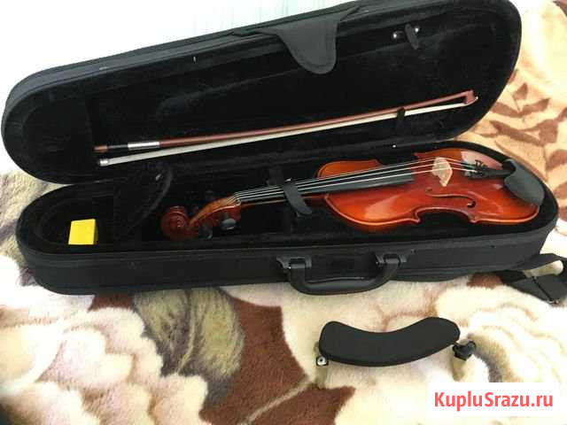 Скрипка Euphony 1/4 Вологда - изображение 1