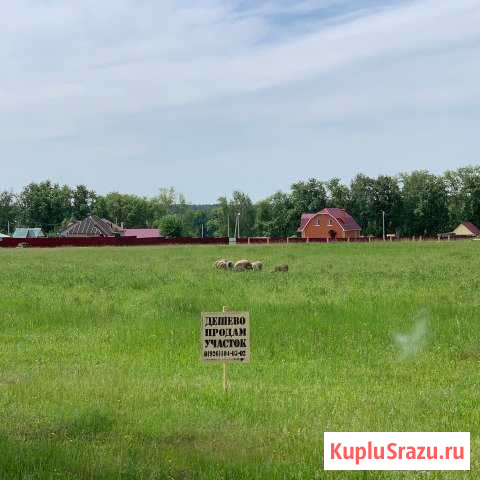  Кашира - изображение 1