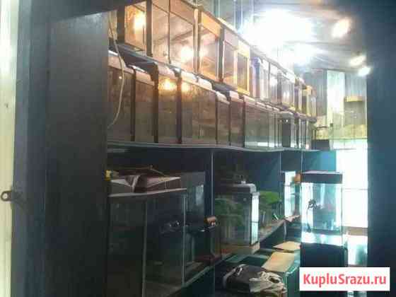 Аквариумы от произв г.Кемерово наличии И под заказ Кемерово