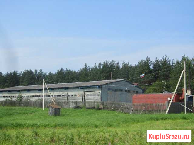 Производственное помещение, 810 кв.м. Нурма - изображение 1