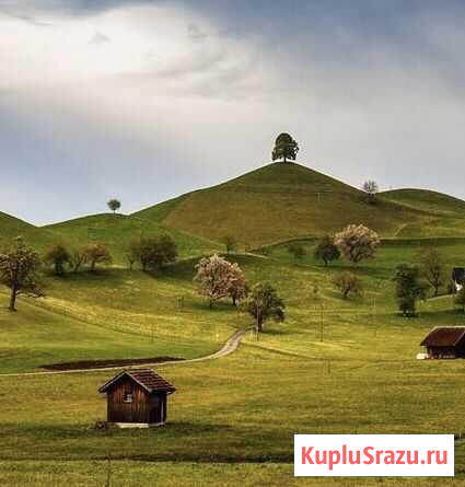 Кадастровый инженер Петрозаводск - изображение 1