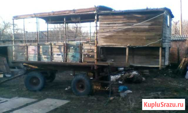 Пчелопавильон Семикаракорск - изображение 1
