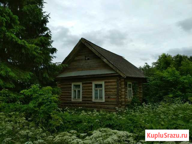 Дом 30 кв.м. на участке 7 сот. Парфино - изображение 1
