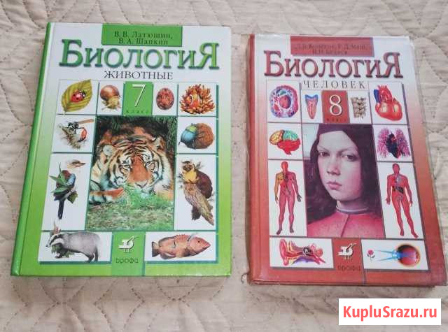 Биология Домодедово - изображение 1
