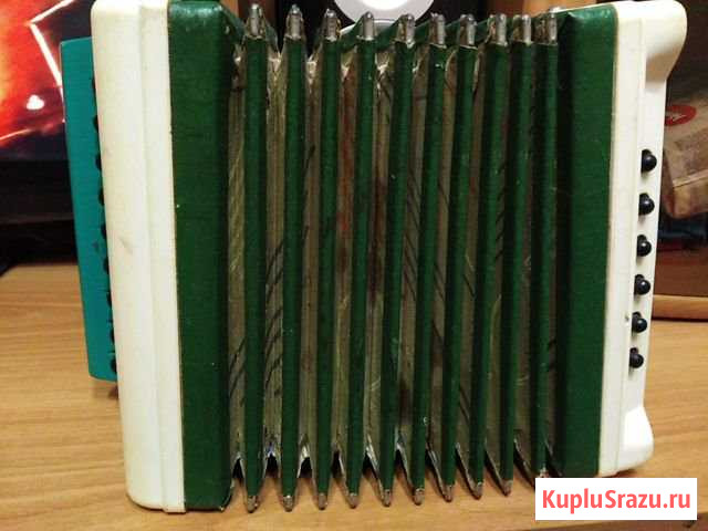 Гармошка Нижний Новгород - изображение 1
