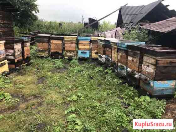 Улей для пчёл Махнево
