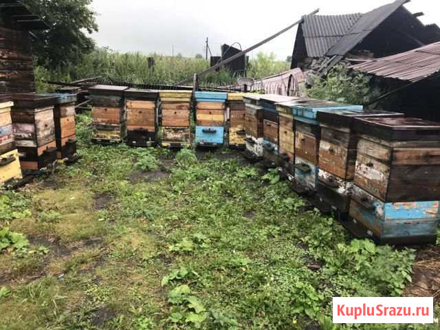 Улей для пчёл Махнево - изображение 1