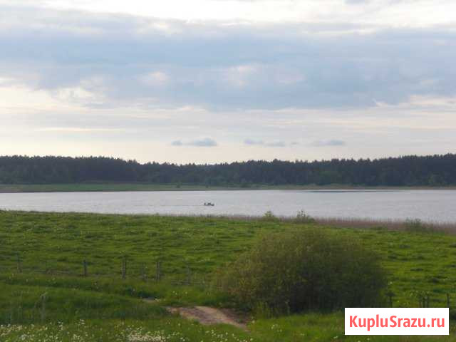  Палкино - изображение 1