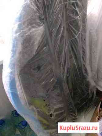 Капот рено логан Сосновый Бор