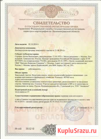  Гурьевск - изображение 1