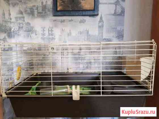 Продам клетку Нижний Тагил