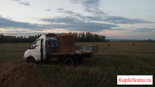 Сено в рулонах Тургенево - изображение 1