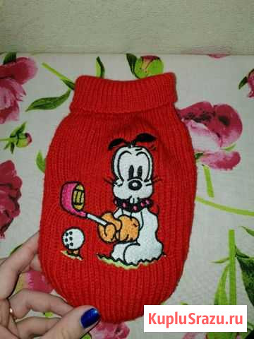 Одежда для собак Жуковский - изображение 1