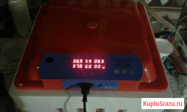 Инкубатор Воскресенское - изображение 1