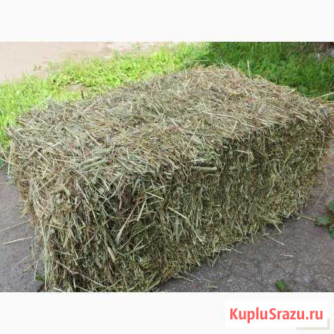 Сено в брикетах Нижний Тагил - изображение 1