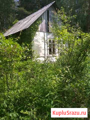  Егорьевск - изображение 1