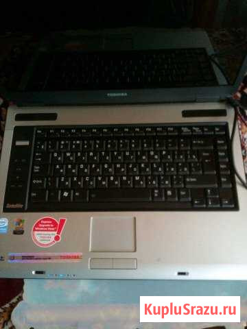 Toshiba Дедовск - изображение 1