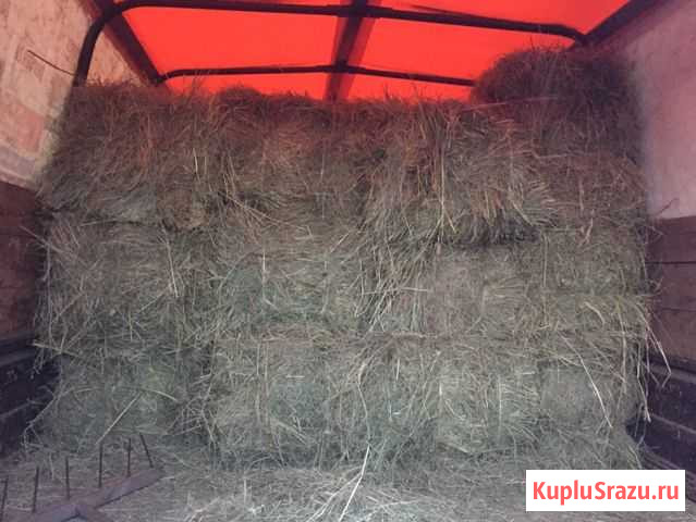Сено Губкин - изображение 1