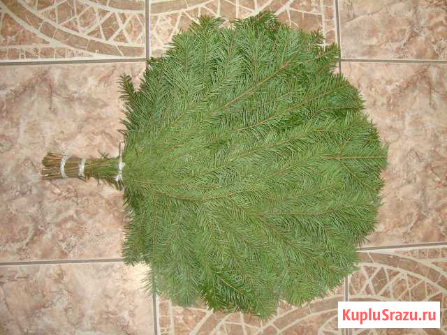 Пихтовые веники Шарья - изображение 1