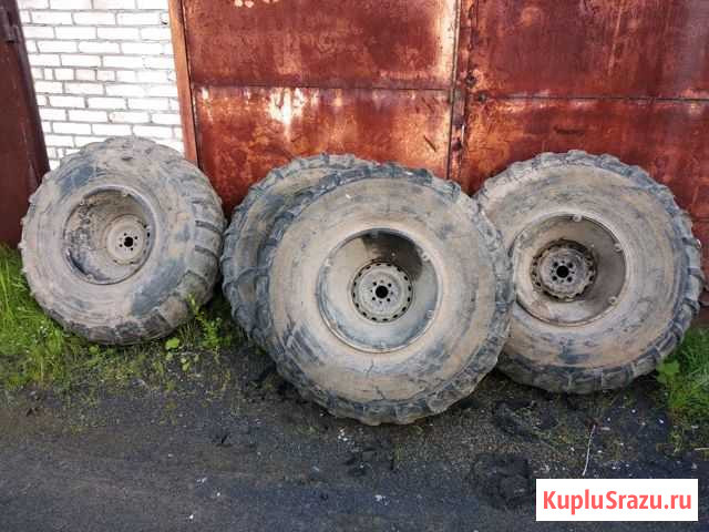 Колеса на вездеход Окуловка - изображение 1