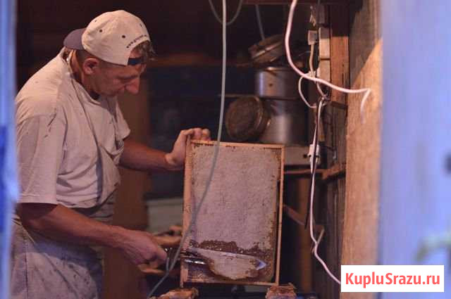 Продажа мёда Егорьевск - изображение 1