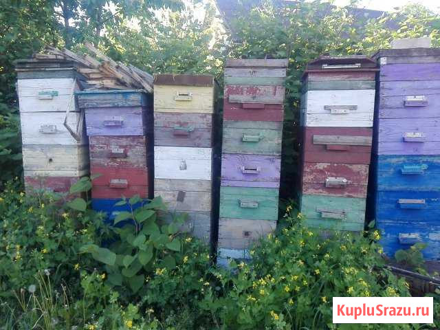 Корпуса для ульев Короча - изображение 1
