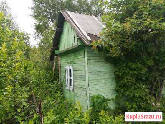  Сарапул