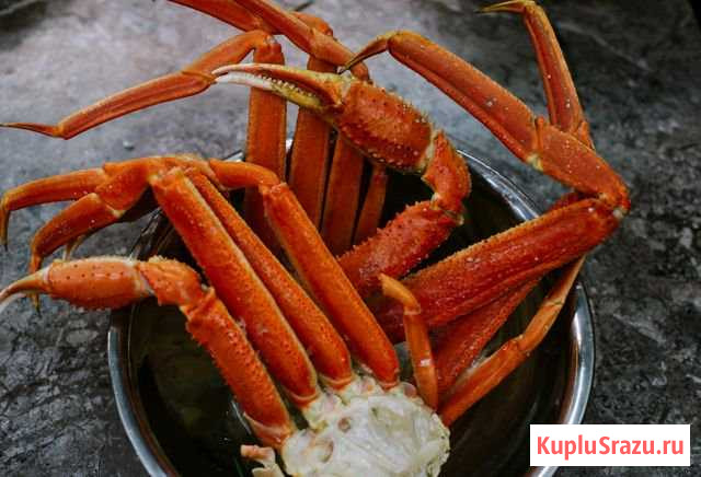 Клешни камчатского краба стригуна Тамбов - изображение 1