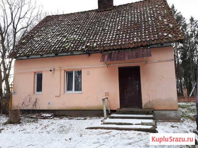 Дом 54 кв.м. на участке 12 сот. Ладушкин - изображение 1