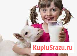 Козье молоко Тимашевск - изображение 1