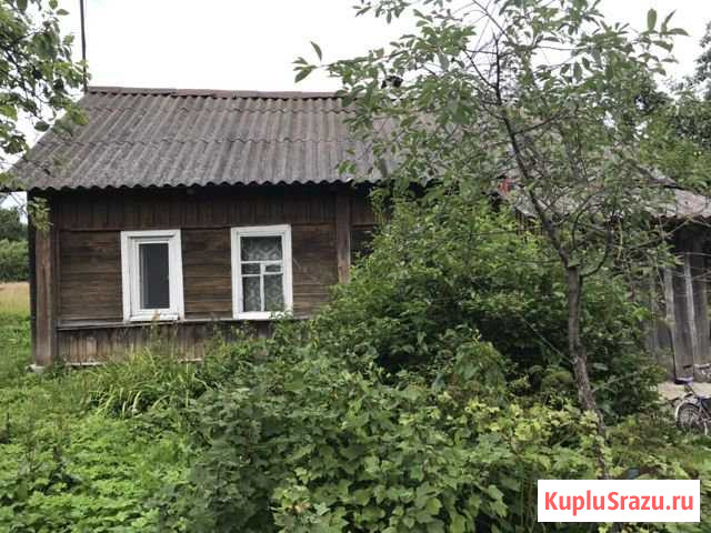 Дом 55 кв.м. на участке 25 сот. Голынки - изображение 1