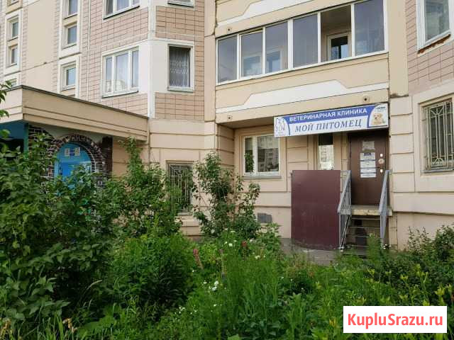 Сдам помещение 70 кв.м Чехов - изображение 1